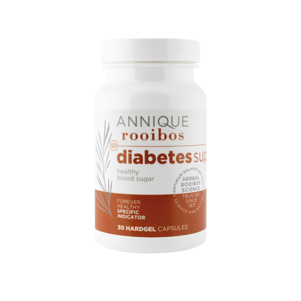 Diabetes Support 30 Capsules-600x600